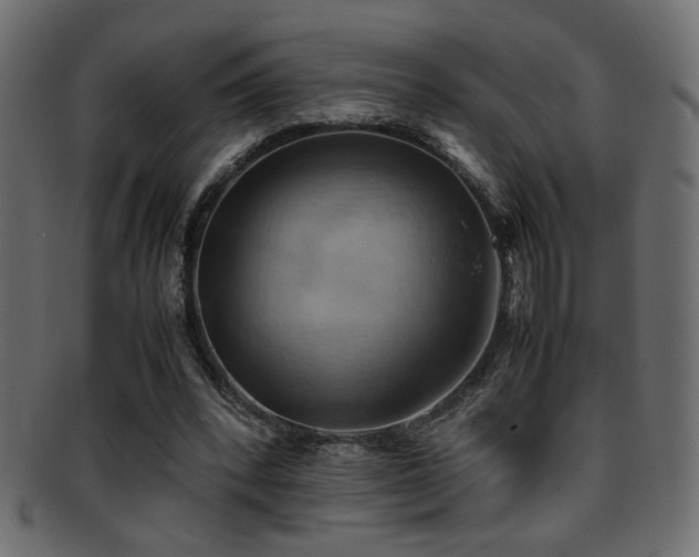 X0000095690392200801081252