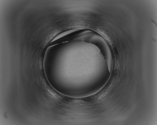 X0000095690393200801081252
