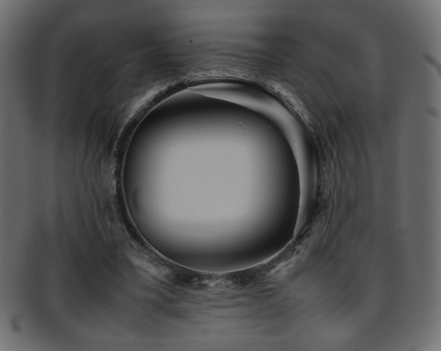 X0000095690395200801081252