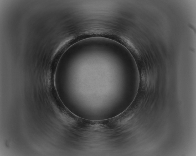 X0000095690396200801081252