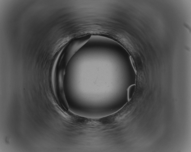 X0000095690397200801081252