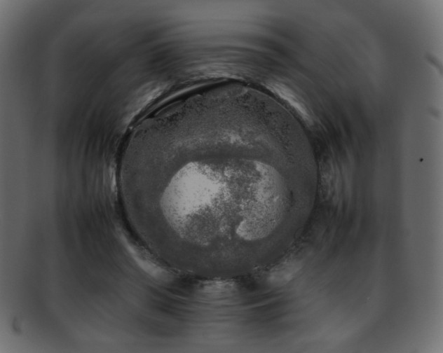 X0000095690398200801081252