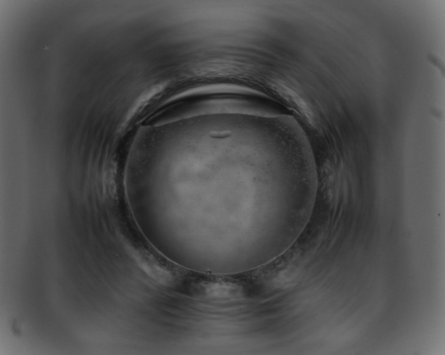 X0000095690400200801081252