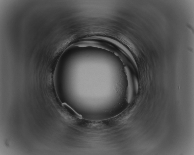 X0000095690401200801081252