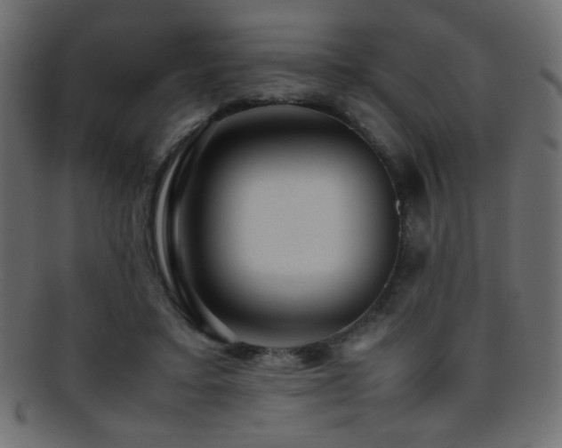 X0000095690403200801081252