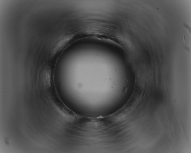 X0000095690404200801081252