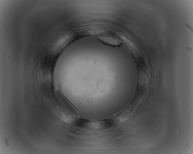 X0000095690405200801081252