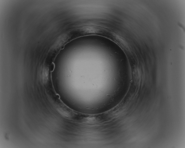 X0000095690406200801081252