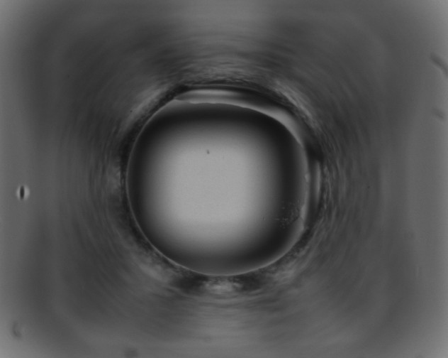 X0000095690407200801081252