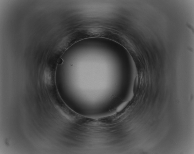 X0000095690408200801081252