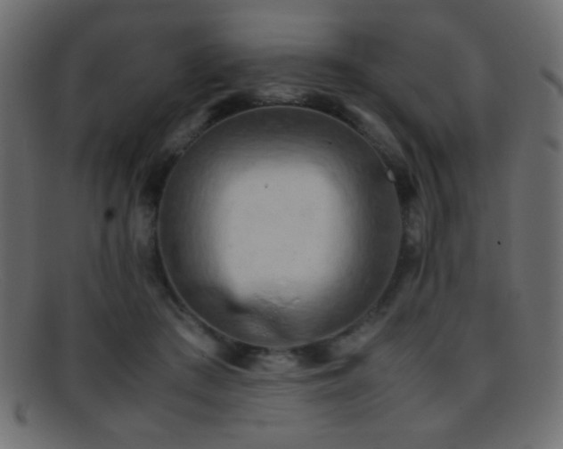 X0000095690409200801081252