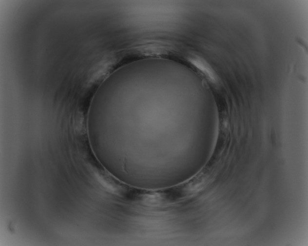 X0000095690411200801081252