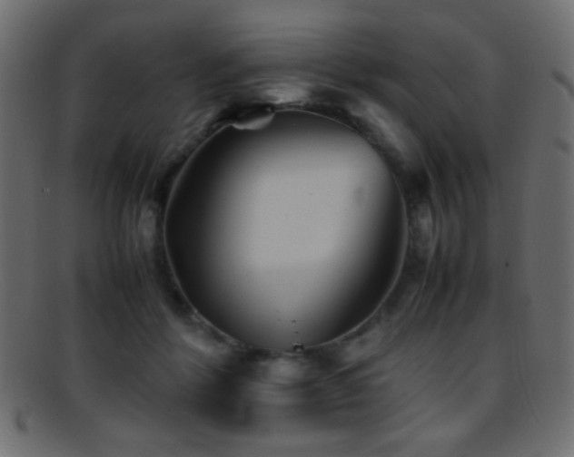X0000095690412200801081252