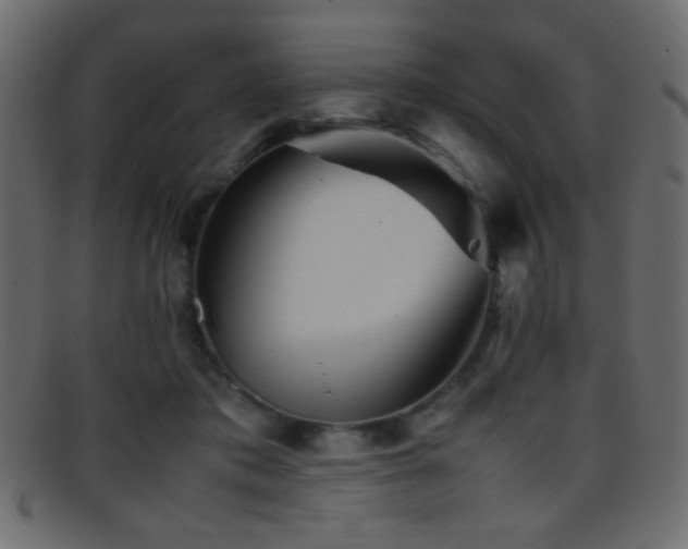 X0000095690413200801081252