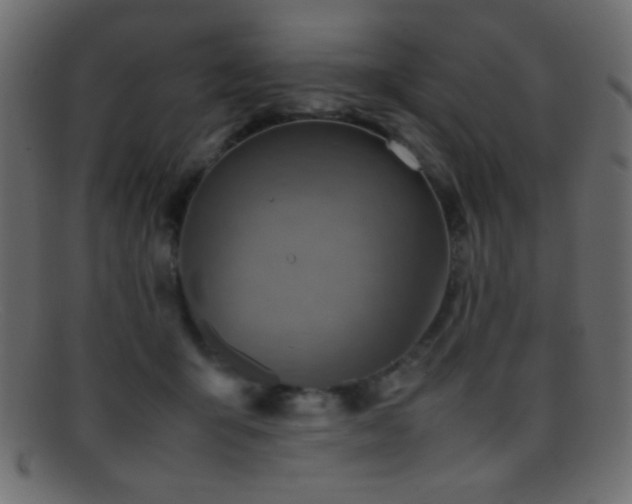 X0000095690415200801081252