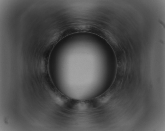 X0000095690416200801081252