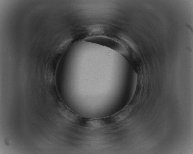 X0000095690417200801081252