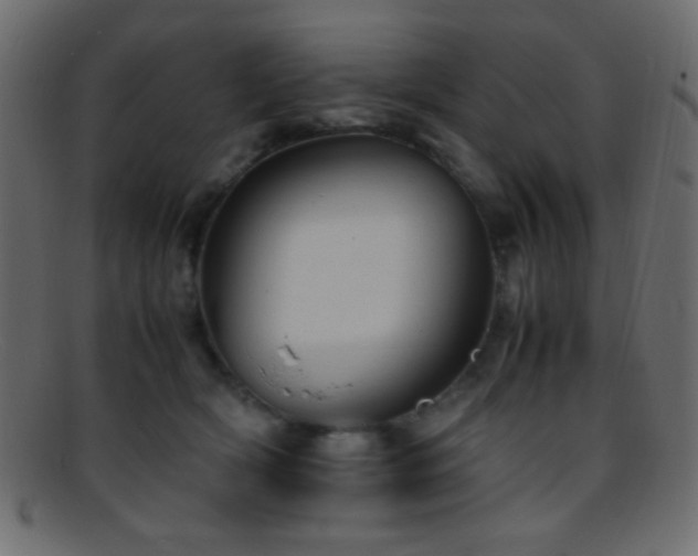X0000095690418200801081252