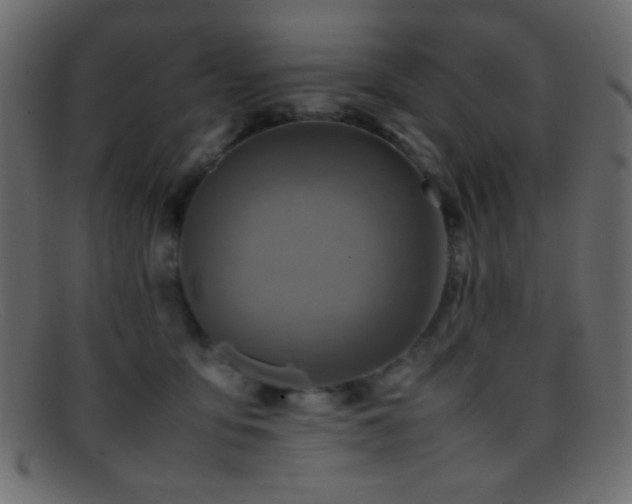 X0000095690419200801081252