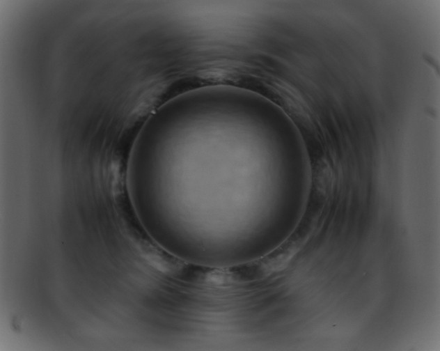 X0000095690420200801081252