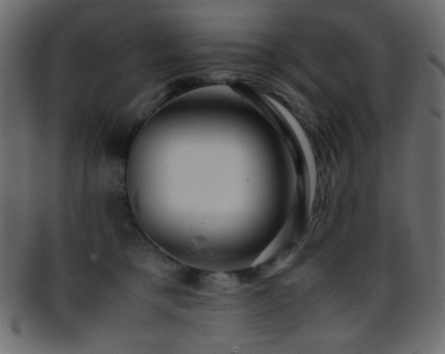 X0000095690421200801081252