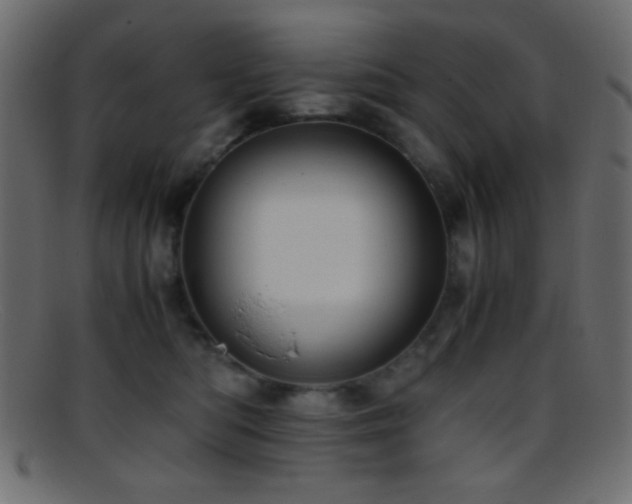 X0000095690422200801081252
