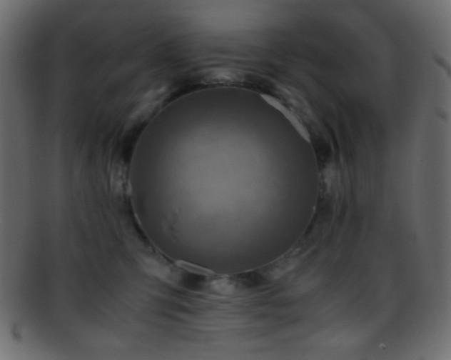 X0000095690423200801081252