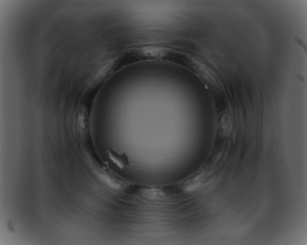 X0000095690424200801081252