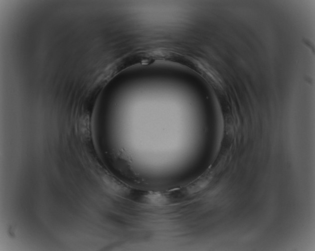X0000095690425200801081252
