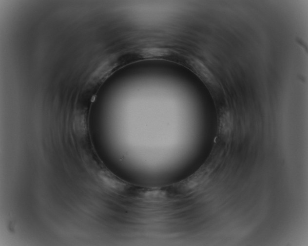 X0000095690426200801081252