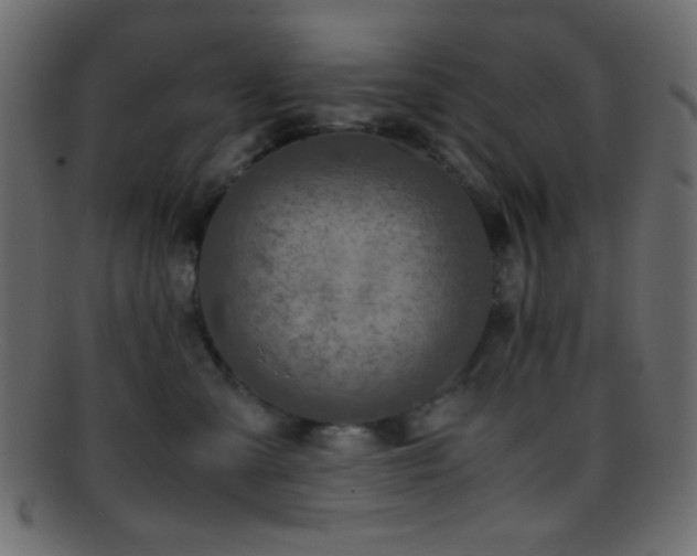 X0000095690427200801081252