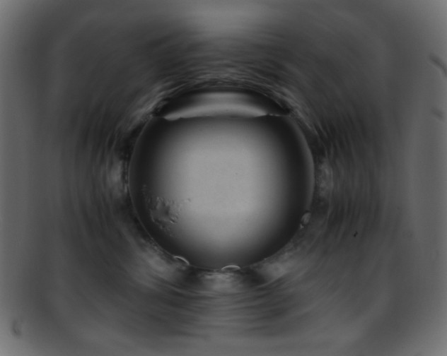 X0000095690428200801081252
