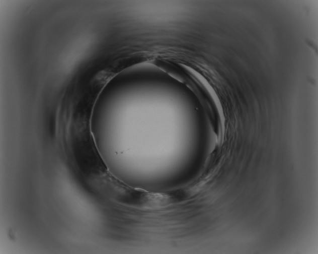 X0000095690429200801081252
