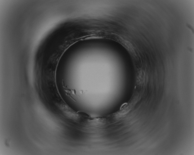 X0000095690430200801081252