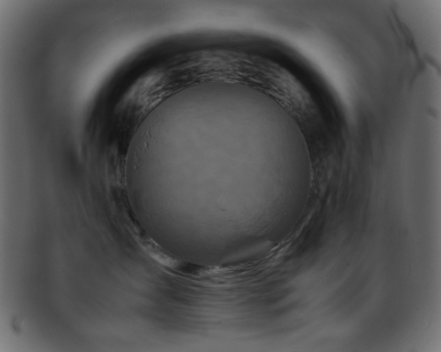 X0000095690431200801081252
