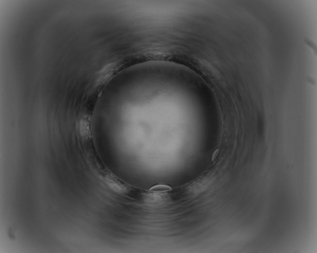 X0000095690432200801081252