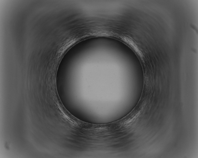 X0000095690433200801081251