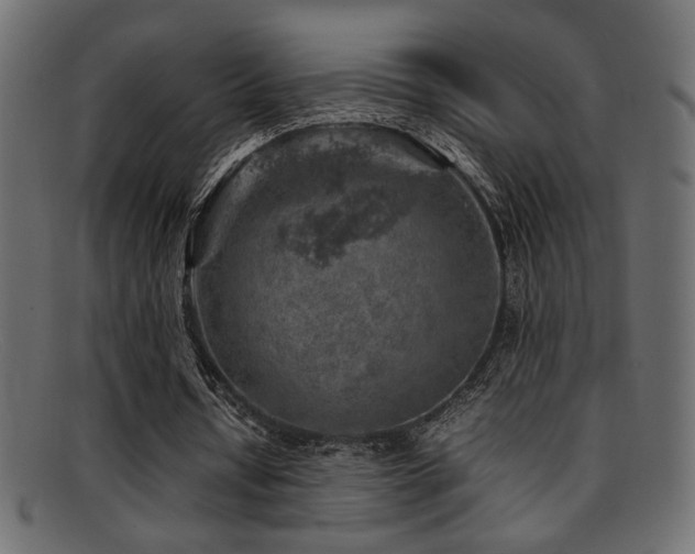X0000095690434200801081251