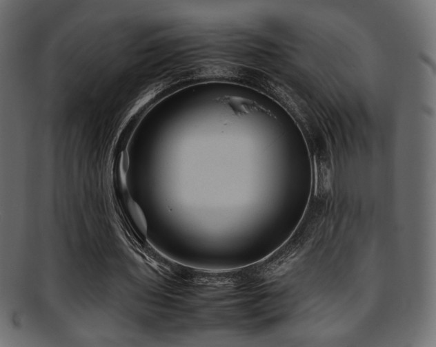 X0000095690435200801081251