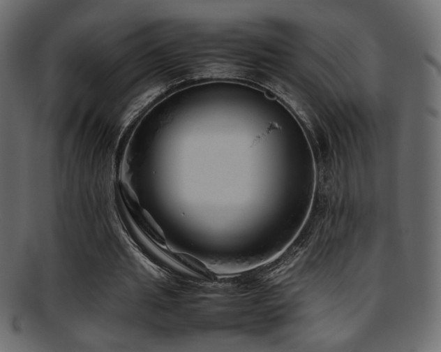 X0000095690437200801081251