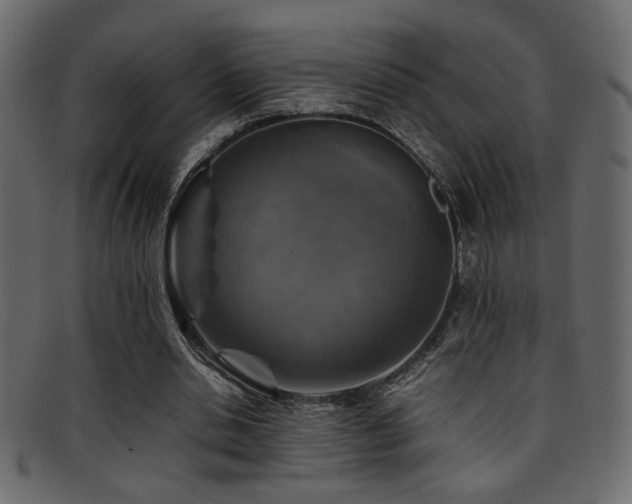 X0000095690438200801081251