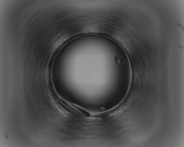 X0000095690439200801081251