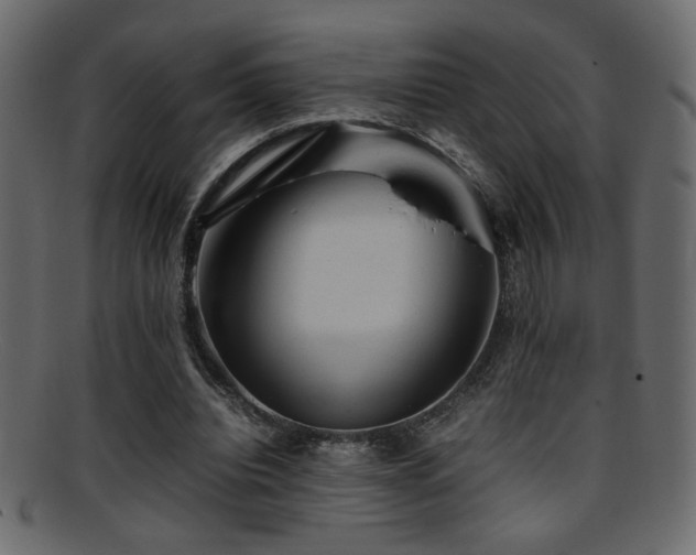 X0000095690440200801081251