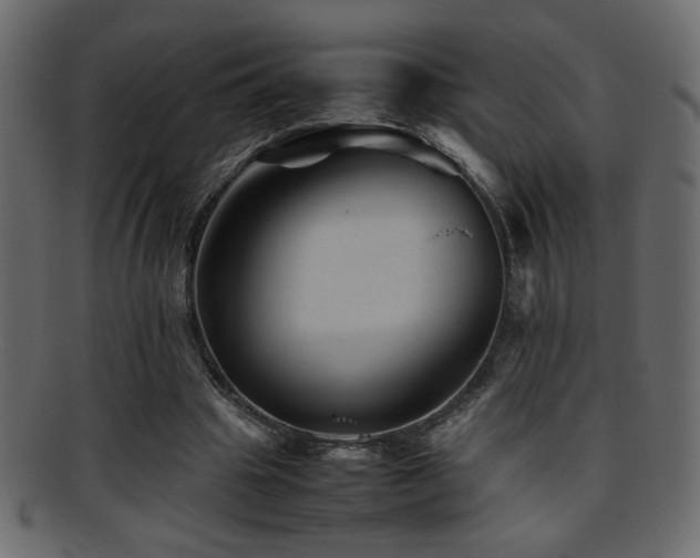 X0000095690441200801081251