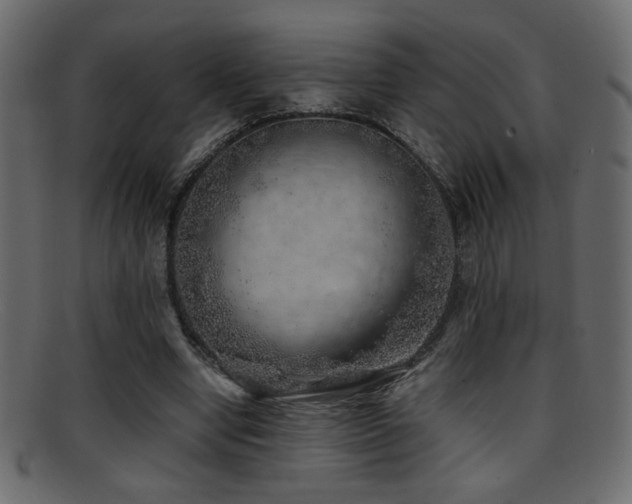 X0000095690442200801081251