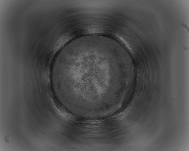 X0000095690443200801081251