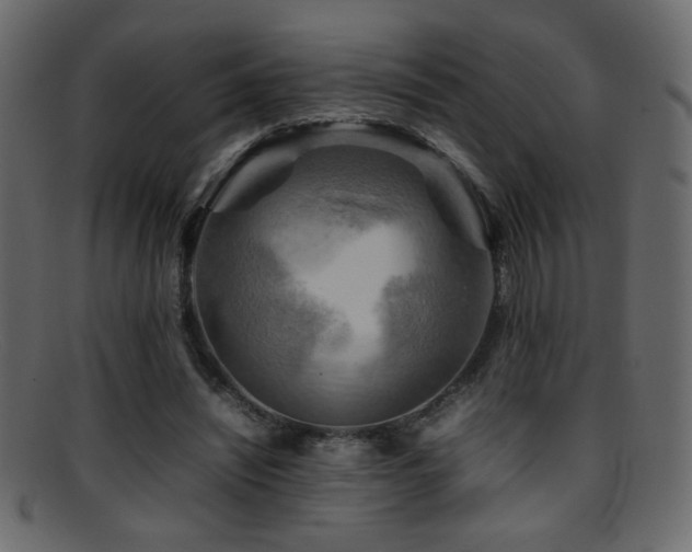 X0000095690444200801081251