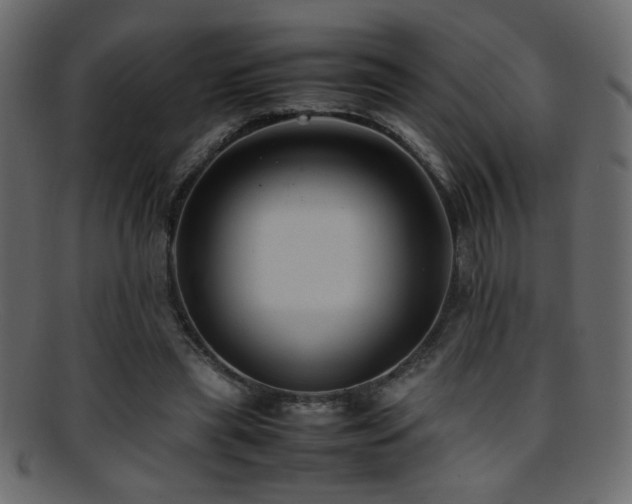X0000095690445200801081251