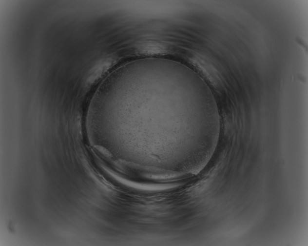 X0000095690447200801081251