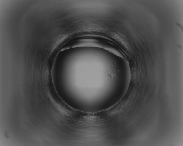 X0000095690448200801081251